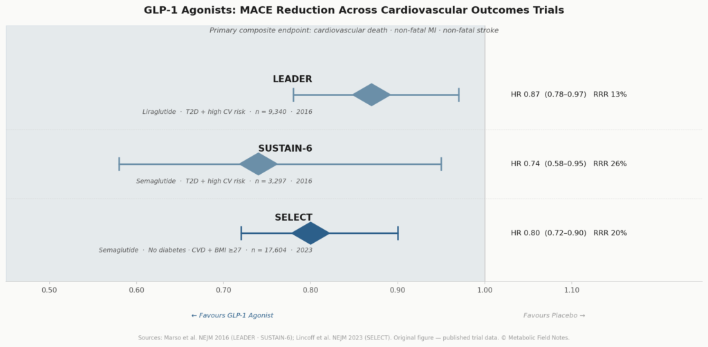 Cardiovascular outcomes across GLP-1 agonist trials: LEADER, SUSTAIN-6, SELECT — hazard ratios for MACE