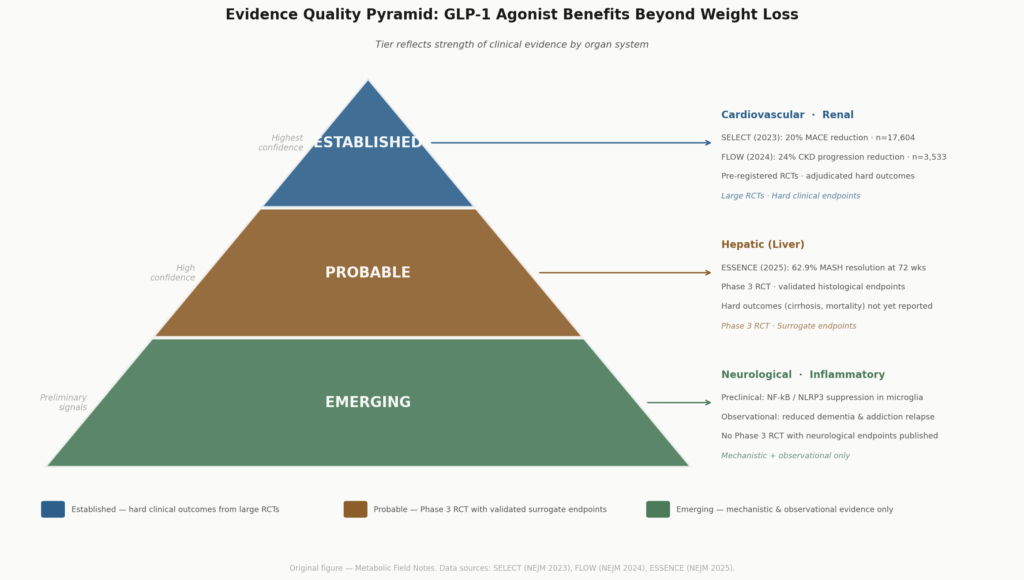 Evidence quality grading for GLP-1 non-weight benefits by organ system: cardiovascular and renal established, hepatic probable, neurological emerging